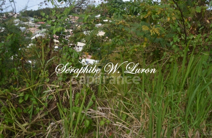 Vente Terrain 800m&sup2; La Trinit&eacute;