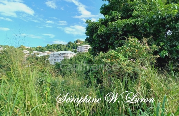 Vente Terrain 800m&sup2; La Trinit&eacute;