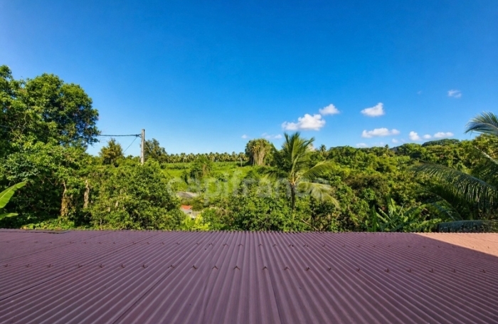 Location Appartement 68m&sup2; 3 pièces Basse-Pointe