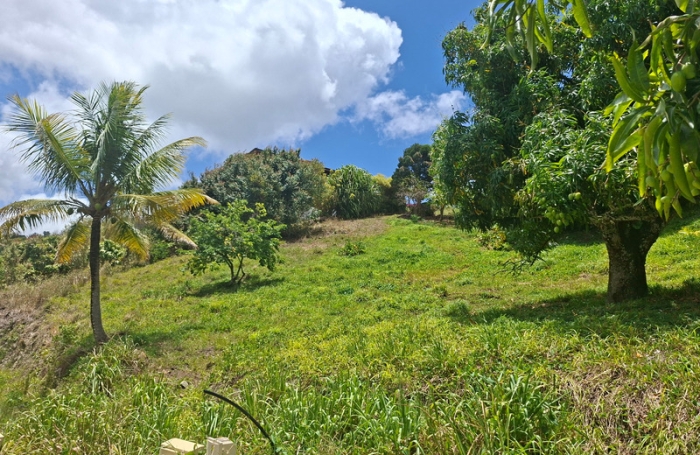 Vente Terrain 97228