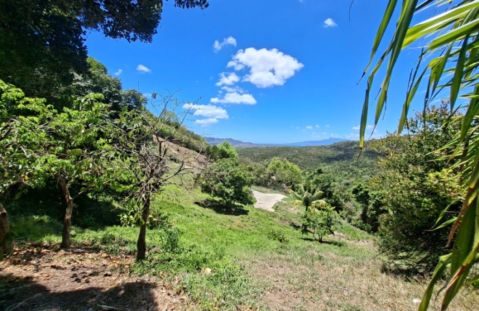 Vente Terrain 626m&sup2; Sainte Luce