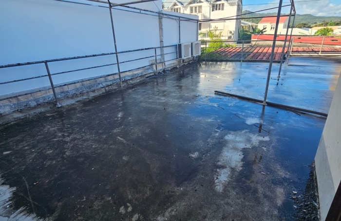 Rivi&egrave;re-Sal&eacute;e   Bien professionnel &agrave; fort potentiel   210 m2 + terrasses