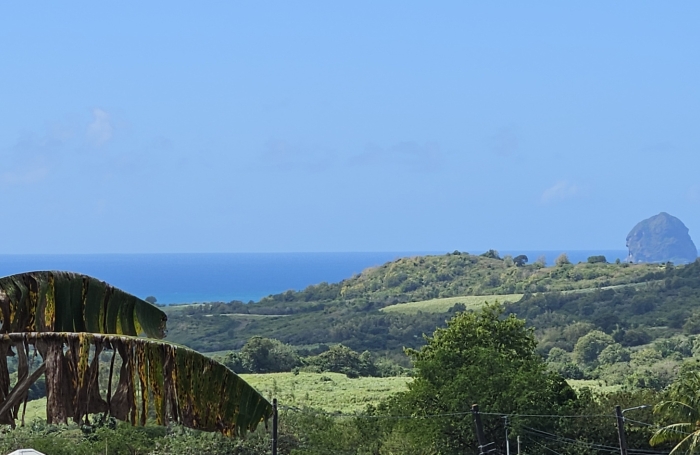 Grande maison F5 avec terrasses, piscine, vue mer et beau terrain paysag&eacute;
