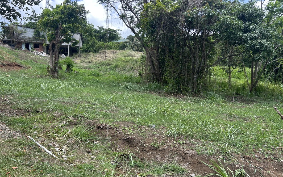 Rivi&egrave;re-Pilote Terrain constructible 860 m&sup2; 135 000 euros FA
