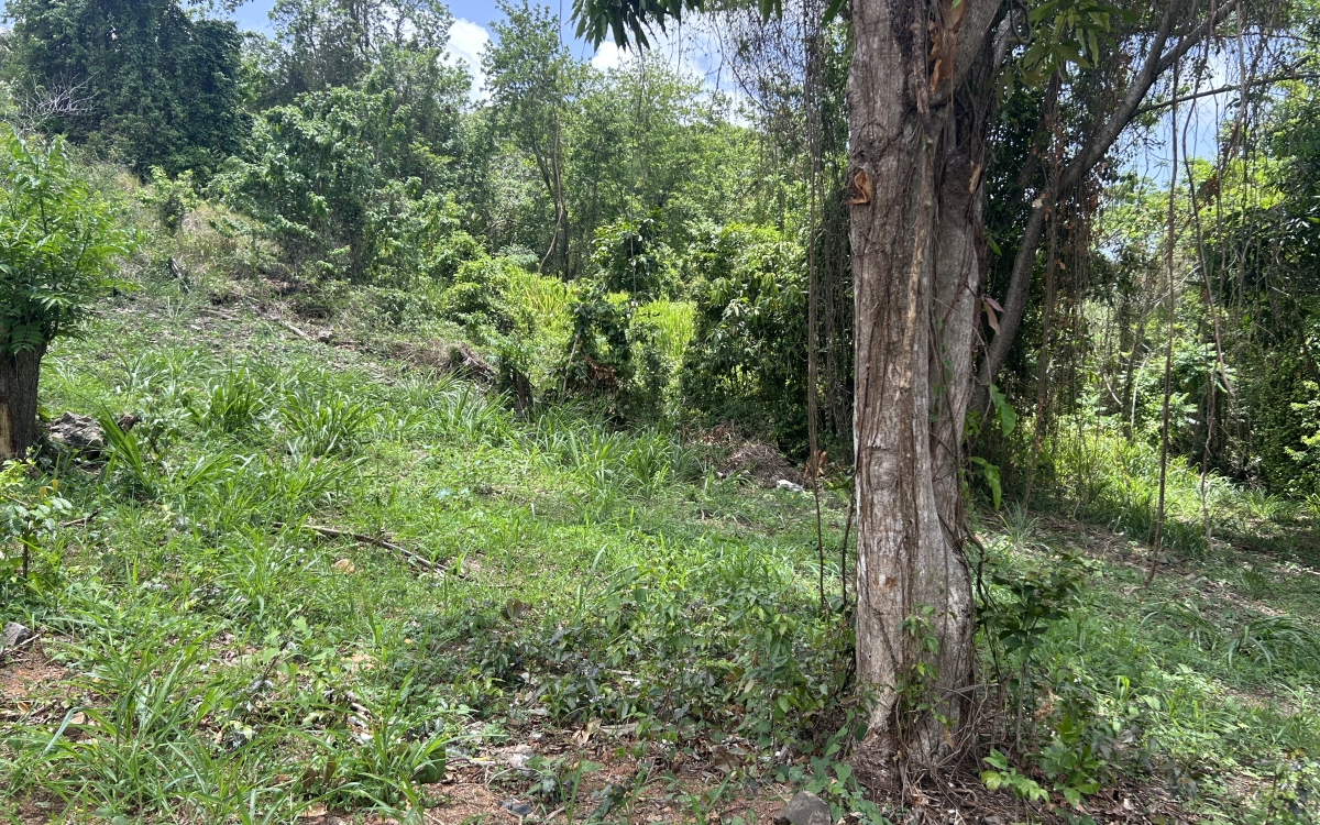 Rivi&egrave;re-Pilote Terrain constructible 860 m&sup2; 135 000 euros FA