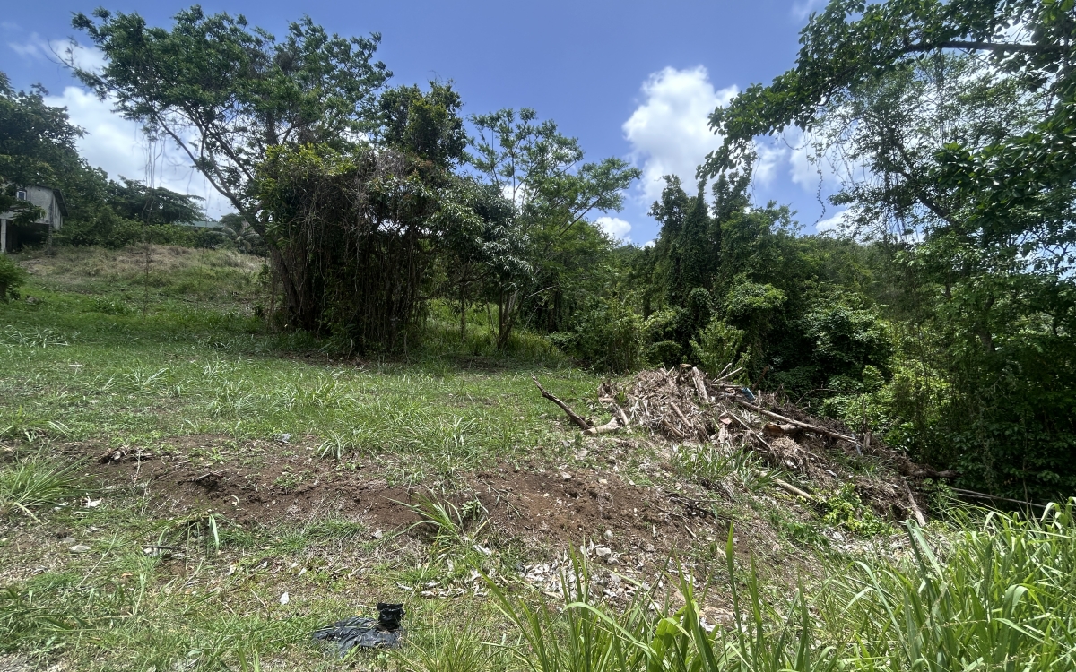 Rivi&egrave;re-Pilote Terrain constructible 860 m&sup2; 135 000 euros FA