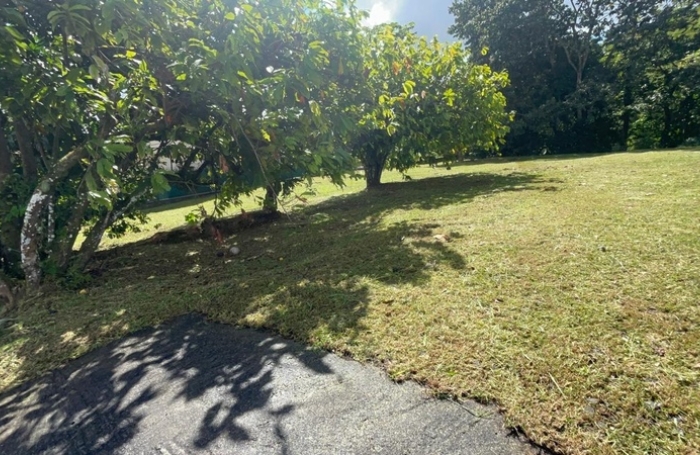 Vente Terrain 1135m&sup2; Saint-Joseph