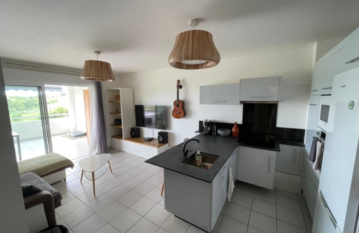 &Agrave; VENDRE   Appartement F2 avec vue mer et campagne &agrave; Ducos
