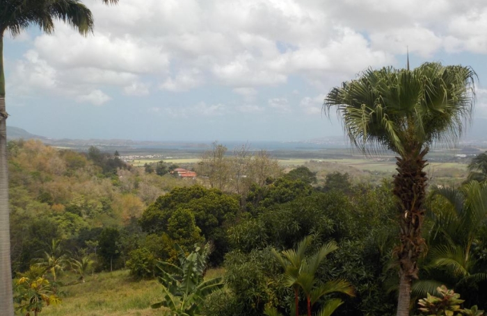 Location Maison 250m&sup2; 5 pièces Rivi&egrave;re Sal&eacute;e