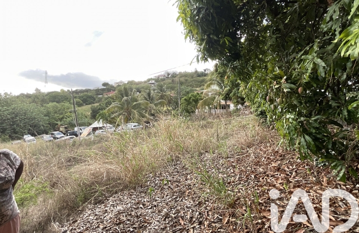 Vente Terrain 819m&sup2; Le Carbet