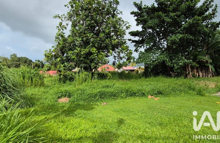 Vente Terrain 97216