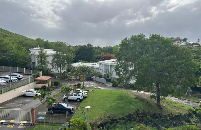 Beau T2 meubl&eacute; &agrave; l'Anse Mitan