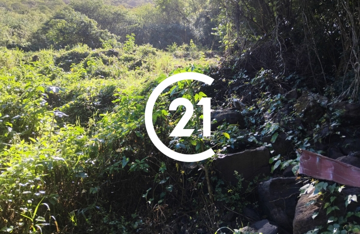 Vente Terrain 3031m&sup2; Case-Pilote