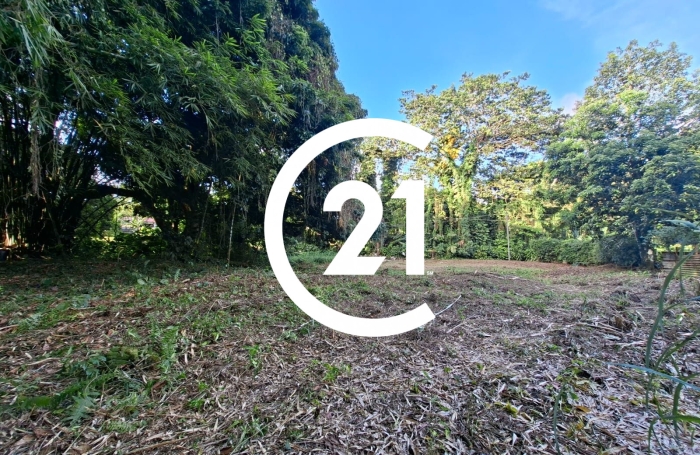 Vente Terrain 97216