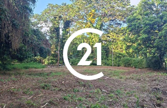 Vente Terrain 937m&sup2; L'Ajoupa Bouillon