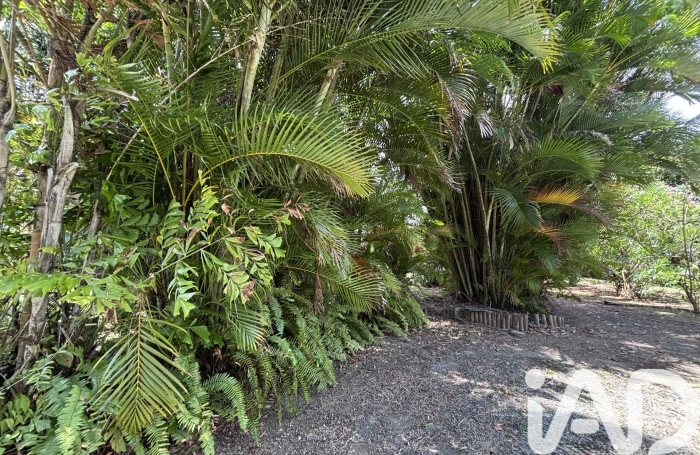 Vente Maison 235m&sup2; 3 pièces Le Morne Vert