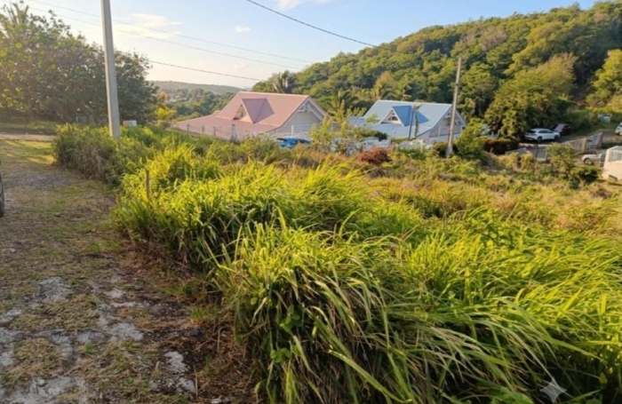 Vente Terrain 97290