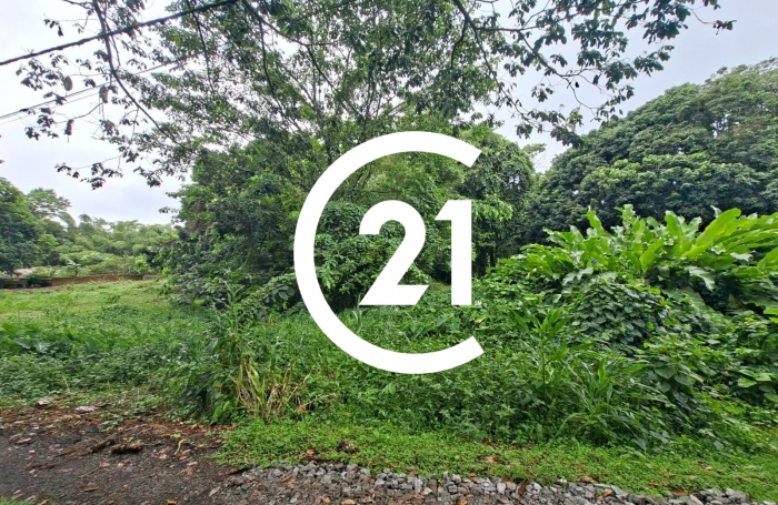 Vente Terrain 934m&sup2; L'Ajoupa Bouillon