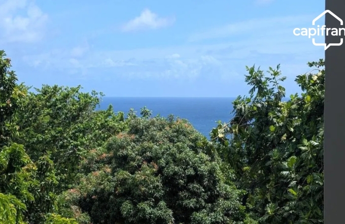 Vente Maison 398m&sup2; 10 pièces Le Marigot