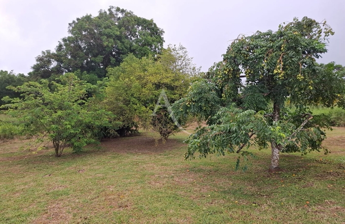 Location Maison 65.13m&sup2; 3 pi&egrave;ces Le Lamentin