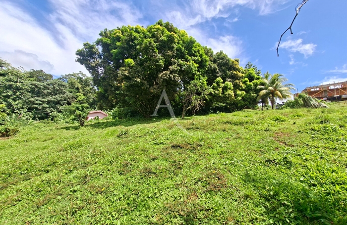 Vente Terrain 