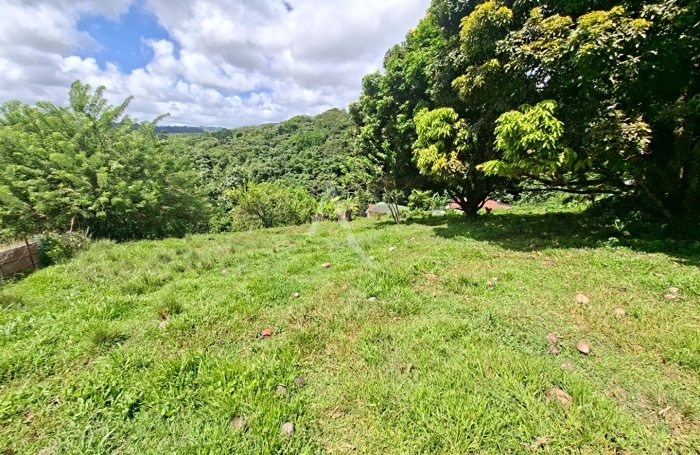 Vente Terrain 5170m&sup2; Sainte Marie