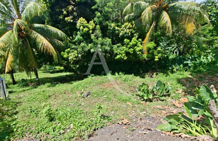 Vente Terrain 5170m&sup2; Sainte Marie