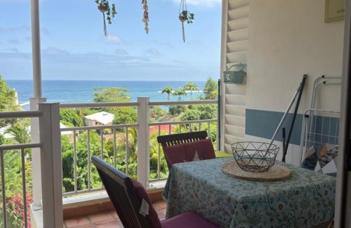 Location Appartement 20.44m&sup2; 1 pièce La Trinit&eacute;