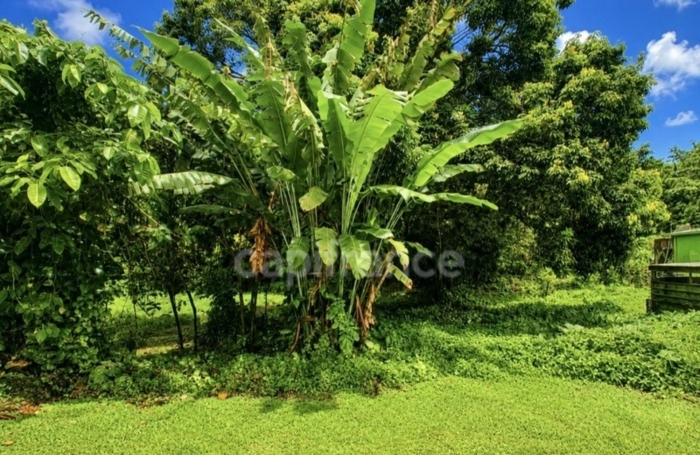 Vente Terrain 729m&sup2; L'Ajoupa Bouillon