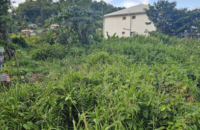 TERRAIN A CONSTRUIRE - MORNE VERT DUCOS
