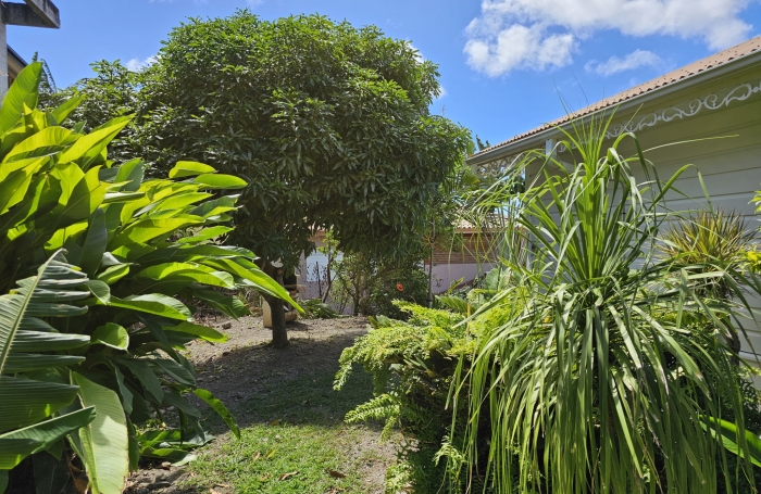 Villa avec vue mer, piscine et fort potentiel locatif   Les Anses-d'Arlet