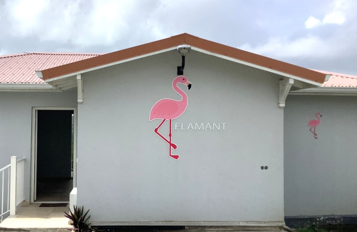 Location Appartement 