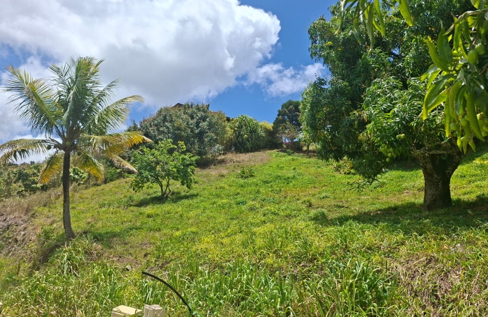 Vente Terrain 626m&sup2; Sainte Luce