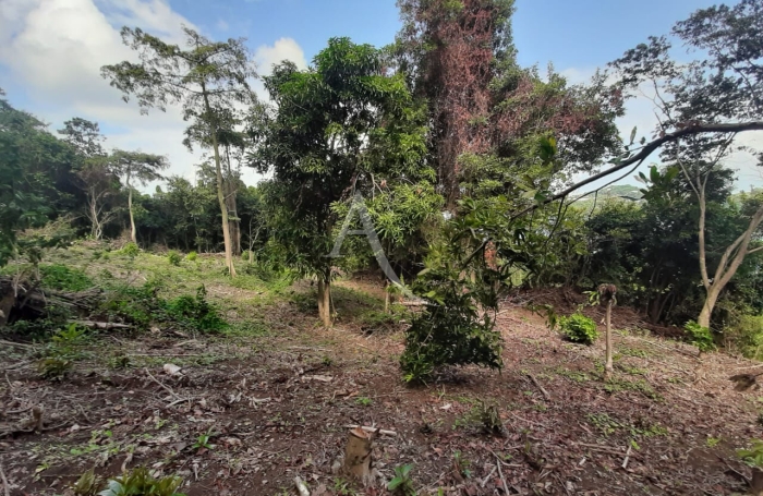 Vente Terrain 2634m&sup2; La Trinit&eacute;