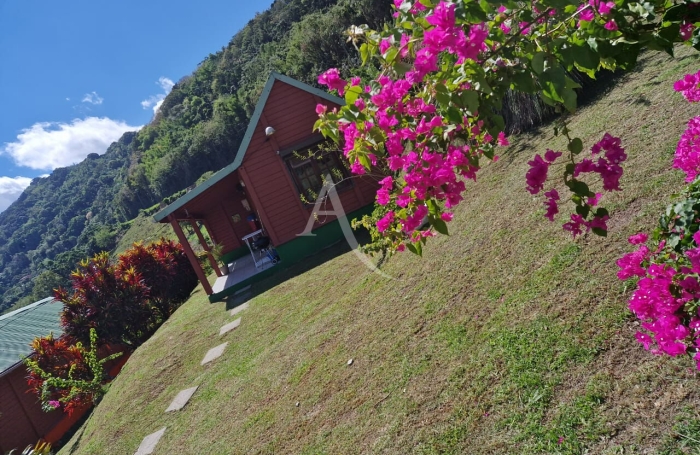 Vente Maison 10 pi&egrave;ces Saint Pierre