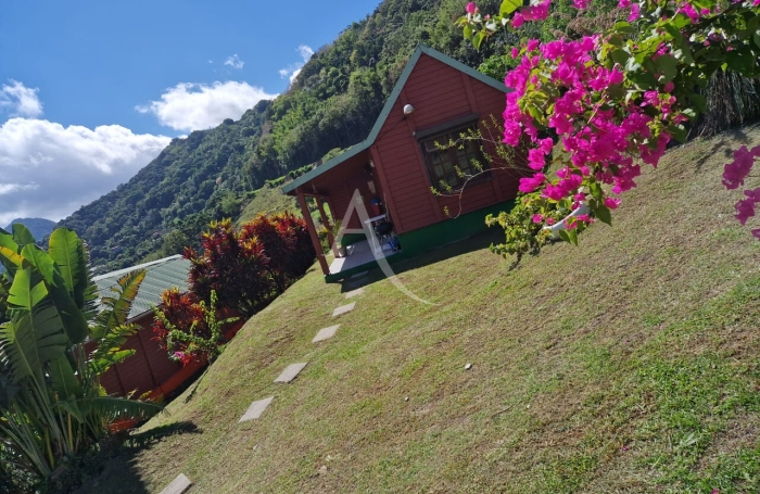 Vente Maison 10 pi&egrave;ces Saint Pierre