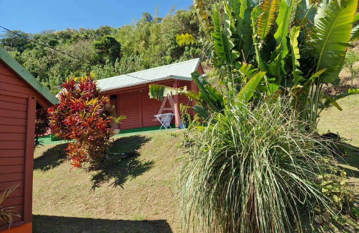 Vente Maison 10 pi&egrave;ces Saint Pierre