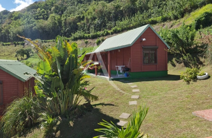 Vente Maison 10 pi&egrave;ces Saint Pierre