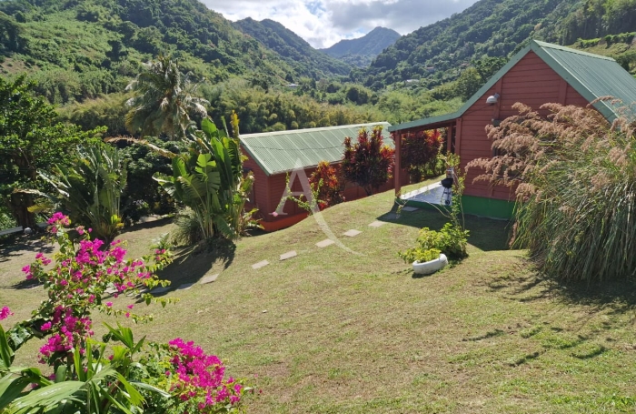 Vente Maison 10 pi&egrave;ces Saint Pierre