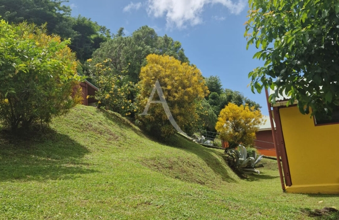 Vente Maison 10 pi&egrave;ces Saint Pierre