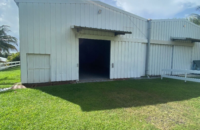 Location Entrepot 250m&sup2; Le Lamentin