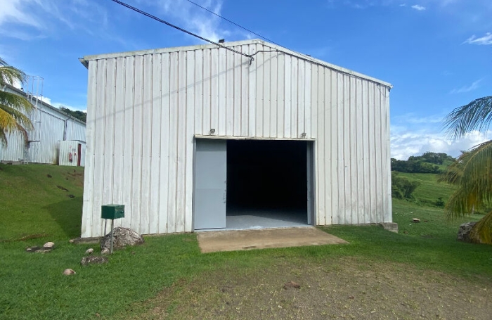 Location Entrepot 250m&sup2; Le Lamentin