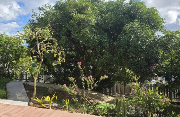 Location Appartement 97215