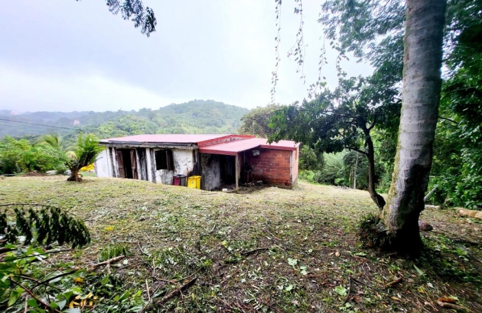 Vente Maison 84.92m&sup2; 4 pièces Rivi&egrave;re Pilote