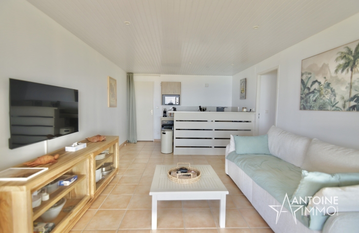 LES ANSES-D&rsquo;ARLET   EXCLUSIVIT&Eacute; - VILLA DE STANDING - VUE MER - PISCINE   LODGE IND&Eacute;PENDANT 990 000 &euro;