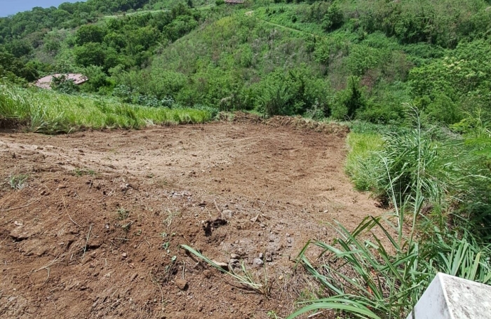 Vente Terrain 908m&sup2; Le Carbet