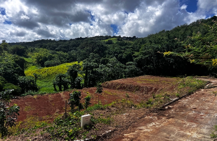 Vente Terrain 