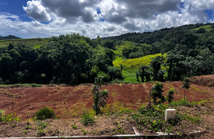 Vente Terrain 1264m&sup2; Saint-Esprit