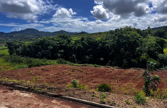 Vente Terrain 1264m&sup2; Saint-Esprit