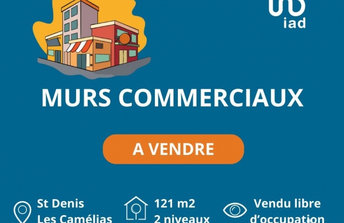 Vente Local commercial 97400